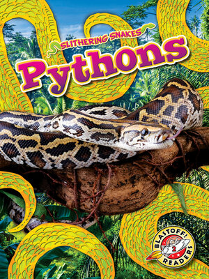 cover image of Pythons